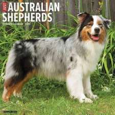 Just Australian Shepherds 2025 12 X 12 Wall Calendar