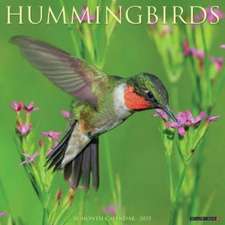 Hummingbirds 2025 12 X 12 Wall Calendar