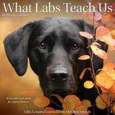 What Labs Teach Us 2025 12 X 12 Wall Calendar