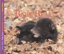 Adventures of Baby Bear