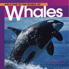 Welcome to the World Whales