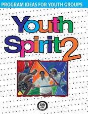 Youth Spirit 2: More Program Ideas for Youth Groups