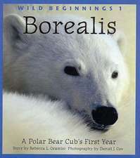 Borealis