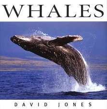 Whales