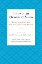 Beyond the Ordinary Mind