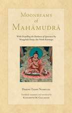 Moonbeams of Mahamudra