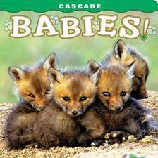 Cascade: Babies!