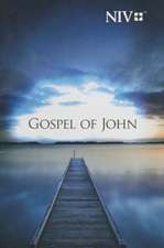 Gospel of John-NIV