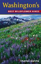 Washington's Best Wildflower Hikes