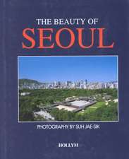 The Beauty of Seoul