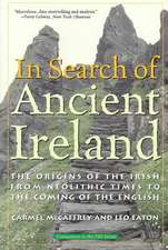 In Search of Ancient Ireland