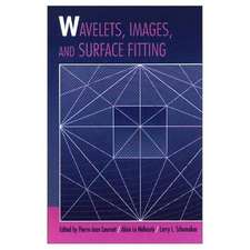 Wavelets, Images, and Surface Fitting