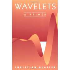 Wavelets: A Primer