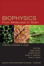 Biophysics From Molecules to Brain: In Memory of Radolslav K. Andjus