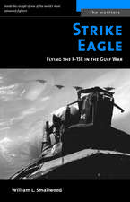 Strike Eagle: Flying the F-15E in the Gulf War