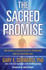 Sacred Promise: How Science Is Discovering Spirit's Collaboration with Us in Our Daily Lives