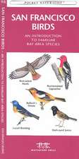 San Francisco Birds: An Introduction to Familiar Species