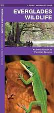 Everglades Wildlife: A Folding Pocket Guide to Familiar Species