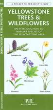 Yellowstone Trees & Wildflowers: An Introduction to Familiar Species of the Yellowstone Area