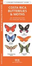 Costa Rica Butterflies & Moths: An Introduction to Familiar Species