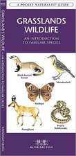 Grasslands Wildlife: An Introduction to Familiar Species Found in Prairie Grasslands