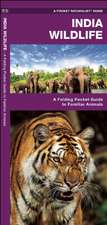 India Wildlife: A Folding Pocket Guide to Familiar Animals