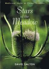 Stars of the Meadow