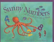 Sunny Numbers