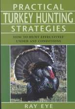 Practical Turkey Hunting Strategies