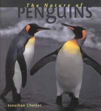 The Nature of Penguins