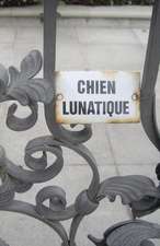 Chien Lunatique