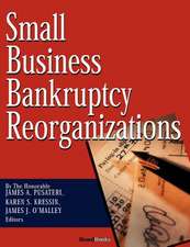 Small Business Bankruptcy Reorganizations