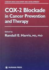 COX-2 Blockade in Cancer Prevention and Therapy