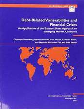 Rosenberg, C: Debt-related Vulnerabilities and Financial Cr