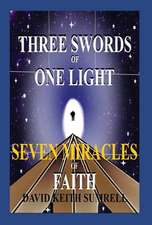 Three Swords of One Light