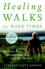 Healing Walks for Hard Times: Quiet Your Mind, Strengthen Your Body, and Get Your Life Back