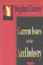 Current Issues in the Steel Industry