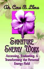 Signature Energy Work: Accessing, Evaluating, and Transforming the Personal Energy Field