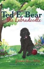 Ted E. Bear the Labradoodle