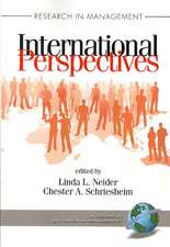 Research in Management International Perspectives (PB)