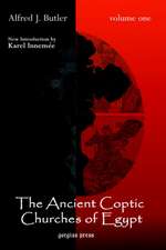 The Ancient Coptic Churches of Egypt (New Introduction by Karel Innemee), Volume One