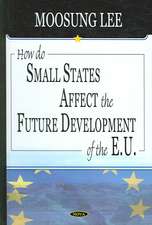 How Do Small States Affect the Future Development of the EU