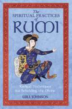 The Spiritual Practices of Rumi: Radical Techniques for Beholding the Divine