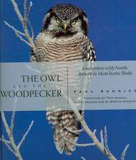 The Owl and the Woodpecker: Encounters With North America's Most Iconic Birds