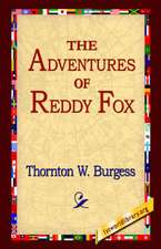 The Adventures of Reddy Fox