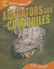 Alligators and Crocodiles