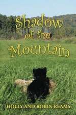 Shadow of the Mountain