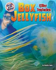 Box Jellyfish: Killer Tentacles