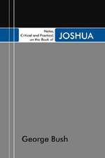 Notes, Critical and Practical, on the Book of Joshua