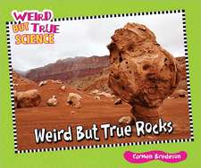 Weird But True Rocks